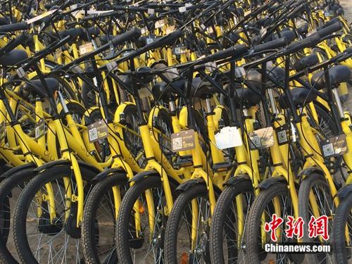 在共享單車維修點，很多共享單車二維碼被涂損。<a target='_blank' href='http://www.chinanews.com/' >中新網</a> 吳濤 攝