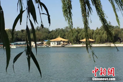 今年4月，北京陶然亭公園內(nèi)春意盎然。<a target='_blank' href='http://www.chinanews.com/' >中新網(wǎng)</a> 種卿 攝