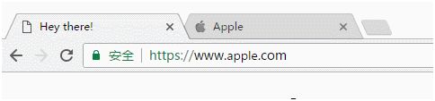 地址欄的顯示是apple.com，肉眼根本無法識別出這是假冒產品。只有將真假網址對比來看，才能發現假網址的字母(使用西里爾語里的a，比英文的a看起來略小)