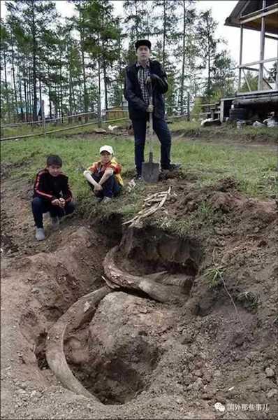 網絡配圖