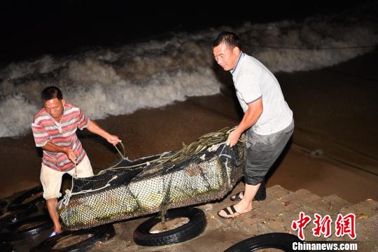 臺風“苗柏”在深圳大鵬半島登陸