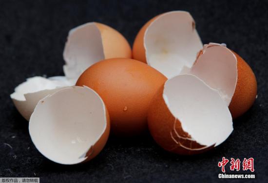 比利時檢察部門指，當地弗蘭德斯兩家專門生產殺虱劑的廠商懷疑與事件有關，可能有不法商人將原本合法用于飼養雞只的殺蟲藥，混合非法有害物質，以加強藥力。（資料圖）
