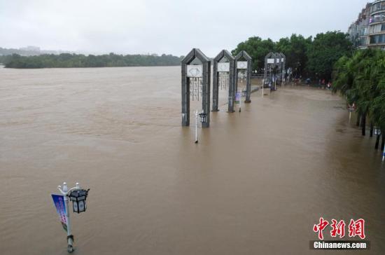 受新一輪連續(xù)強降雨影響，8月15日2時10分，漓江桂林水文站出現(xiàn)147.51米洪峰水位，超警戒水位1.51米，為今年最大洪水。當天漓江旅游船舶、排筏全線封航。 趙琳露 攝