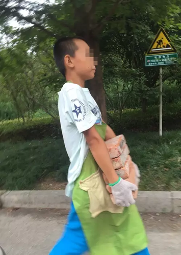 11歲搬磚男孩已退學:學校的教育不好 我自己可以學