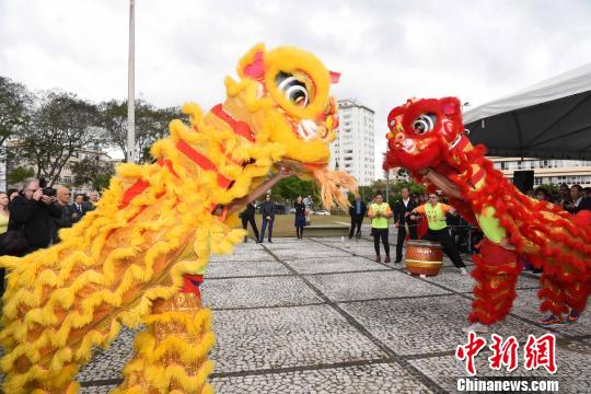 圖為圣保羅華星藝術團表演精彩的舞獅，慶祝“中國廣場”和孔子雕像揭幕。　莫成雄 攝