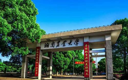 圖：湖南農業大學 熊陽俊 攝