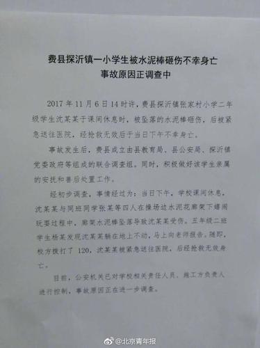 山東一小學生疑被豆腐渣建筑砸死 校方回應質疑