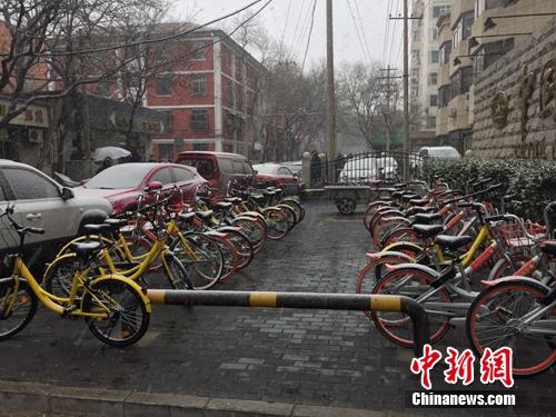 資料圖：風雪中的共享單車。<a target='_blank' href='http://www.chinanews.com/' >中新網</a> 吳濤攝