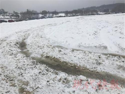 南京多輛越野車公園草坪上玩漂移 涉事7人到案