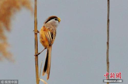 點擊進入下一頁