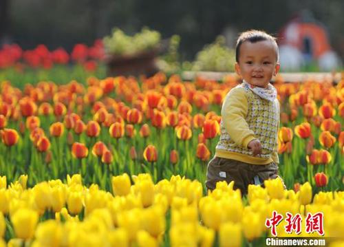 3月22日，小朋友在江西九江市濂溪區的九江新湖郁金香花博會現場玩耍。　胡國林　攝