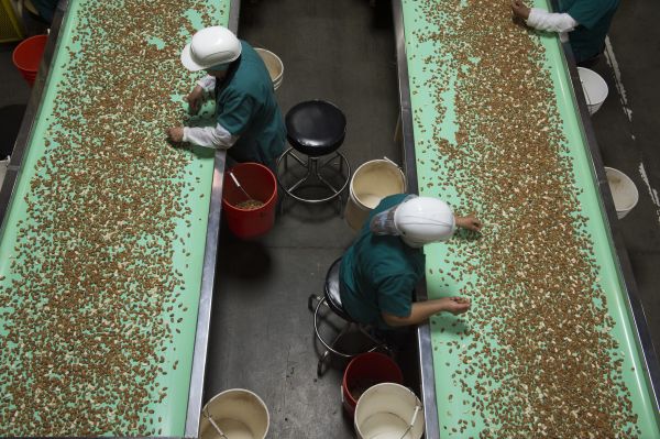 港媒:中國有多張王牌應對美國貿易戰 不會重蹈日本覆轍