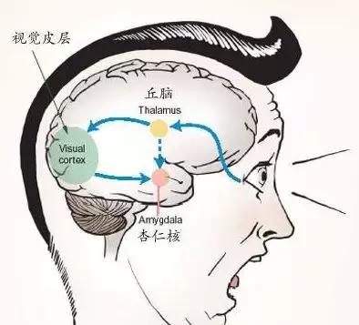 為何有人聽(tīng)到指甲劃黑板的聲音就狂躁？