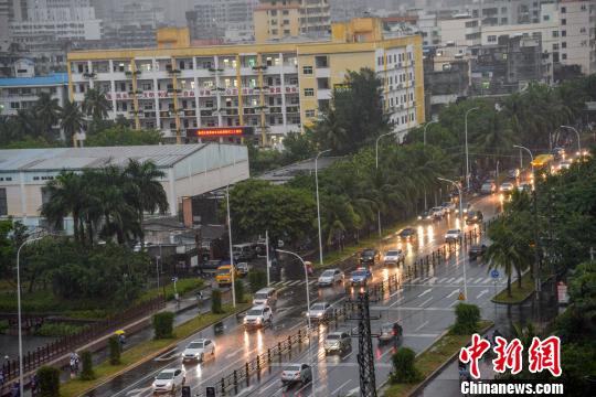 圖為熱帶風暴給海口帶來風雨影響。　洪堅鵬 攝