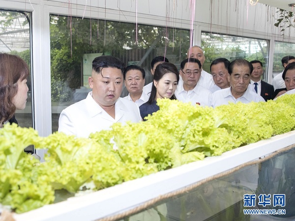 6月20日，中共中央總書記、國家主席習近平在北京釣魚臺國賓館會見朝鮮勞動黨委員長、國務委員會委員長金正恩。這是當天，金正恩參觀中國農業科學院國家農業科技創新園。