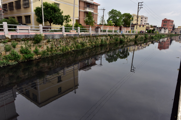 圖1 汕頭市潮陽區練北大坑水體嚴重黑臭