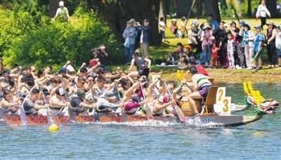 中國僑網6月16日，加拿大舉行第30屆多倫多國際龍舟節，這項為期兩天的傳統活動吸引了來自世界各地的逾5000人參加。圖為參賽者在龍舟賽中。(新華社/鄒崢 攝)