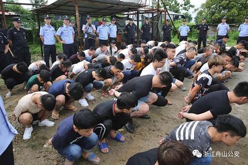 男子網上競猜被騙880萬 警方順藤摸瓜抓嫌犯237人