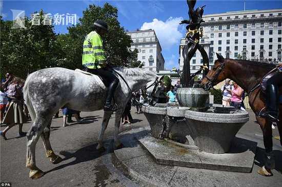 歐洲多國持續高溫 英國或限水禁止澆花洗車