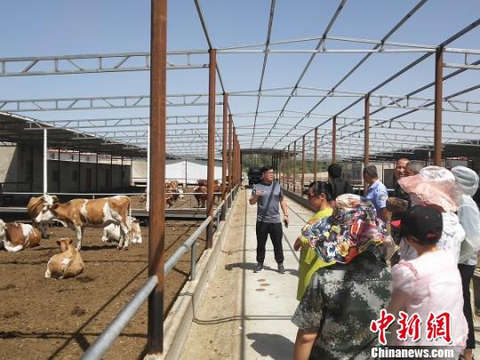 培訓(xùn)班組織學(xué)員實地參觀開拓眼界。(資料圖) 王剛 攝