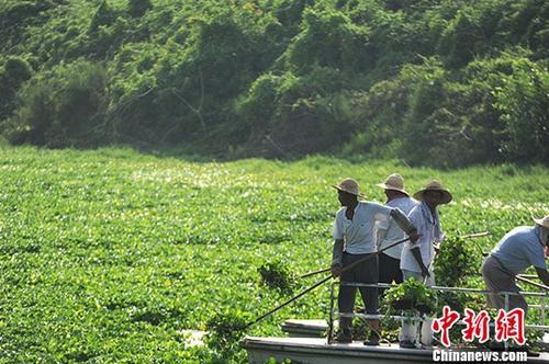 點擊進(jìn)入下一頁