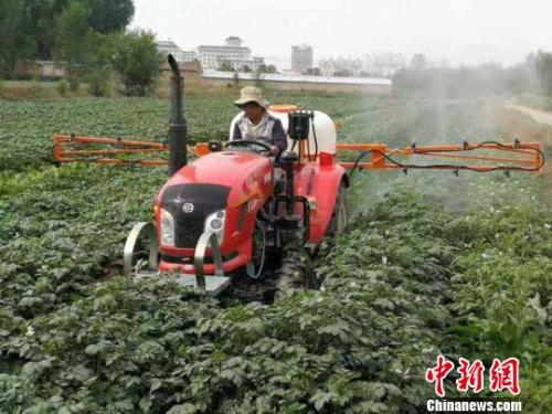 資料圖：農民給馬鈴薯噴灑追肥。陳得軍 攝