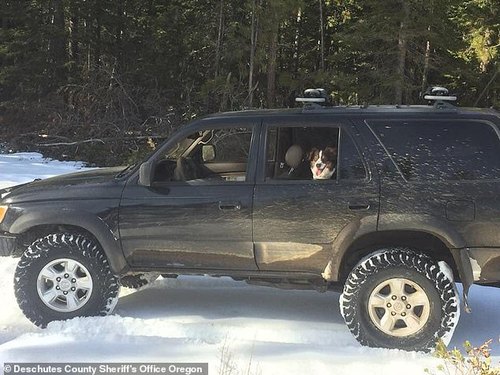 美國男子開車遇大雪被困 靠吃辣醬存活5天獲救