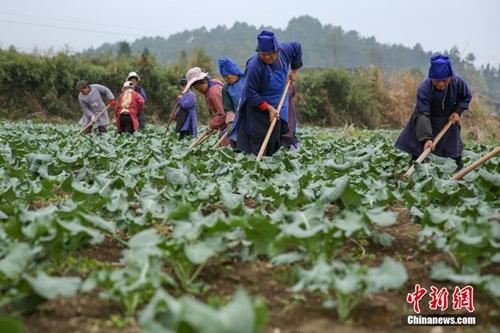 點(diǎn)擊進(jìn)入下一頁