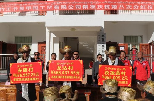 甲瑪工貿公司第八次分紅