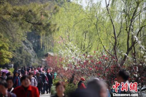 4月1日，大批游客在江蘇揚州瘦西湖踏青游玩，親近自然?！∶系慢?攝