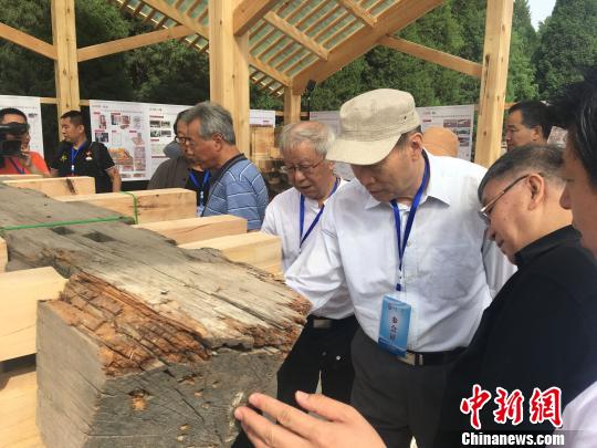 圖為文物及古建筑專家在昭西陵實地考察。　白云水 攝