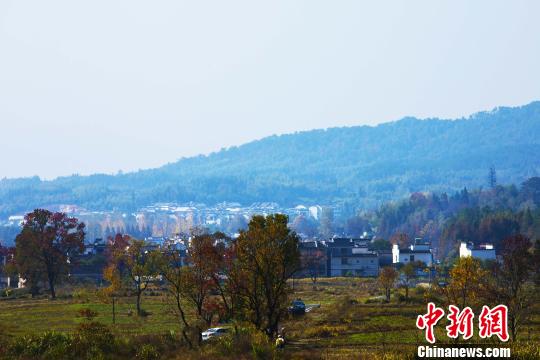 資料圖：安徽省傳統(tǒng)村落——黃山市塔川村。　張強(qiáng) 攝