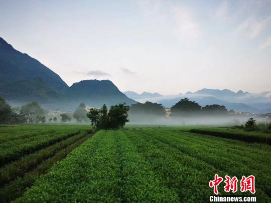 “霍童洞天”助力中國“洞天福地”申報世界文化遺產