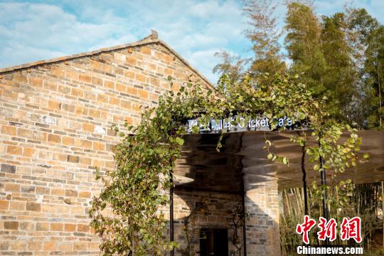 中國建筑師王彥，將夏木塘村內一座90年歷史的舊宅改建為咖啡廳，取名“夏蟲咖啡”。主辦方供資料圖