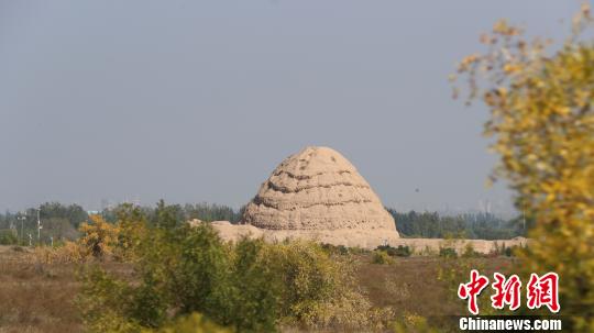 西夏陵遺址。　于晶 攝