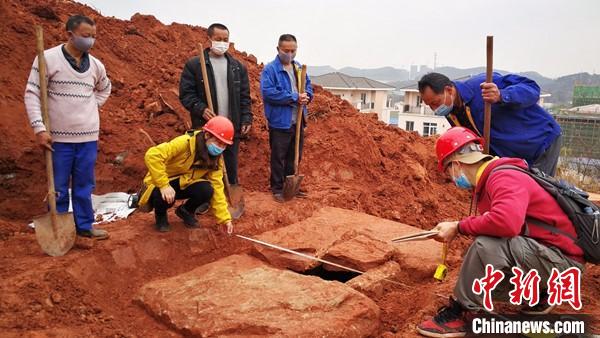 四川德陽一工地發現明代石室墓出土明代青花碗和谷倉罐