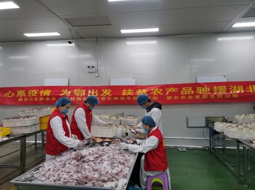 灤平縣大屯工業園區內工人在為愛心果干整理包裝