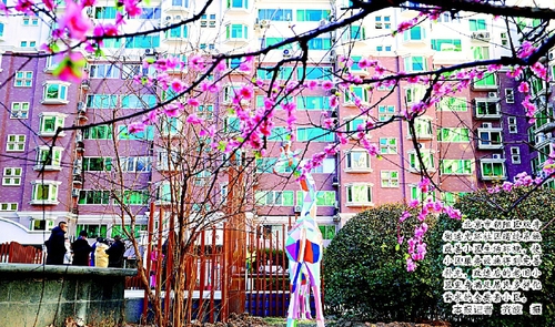 北京市朝陽區雙井街道光環社區通過系統改善小區生活環境，使小區服務設施得到完善補充，改造后的老舊小區變身滿足居民多樣化需求的全要素小區。    本報記者  齊波  攝