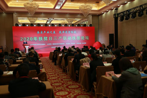 2020年扶貧日“三產(chǎn)聯(lián)動扶貧論壇”活動現(xiàn)場