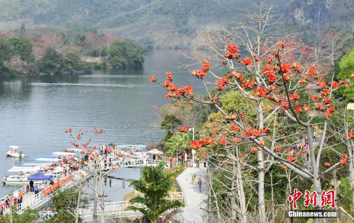 　圖為游客在昌江黎族自治縣七叉鎮(zhèn)尼下碼頭乘船觀賞昌化江兩岸的木棉花。 尹海明 攝