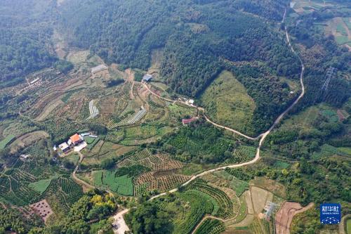 廣西靈川縣靈田鎮(zhèn)正義村（10月27日攝，無人機(jī)照片）。