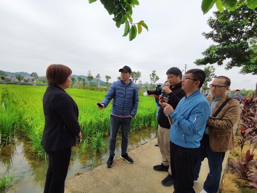 “鄉村振興 委員行動”主題采訪組在廣西柳州市柳南區田間地頭采訪 潘柯君 攝