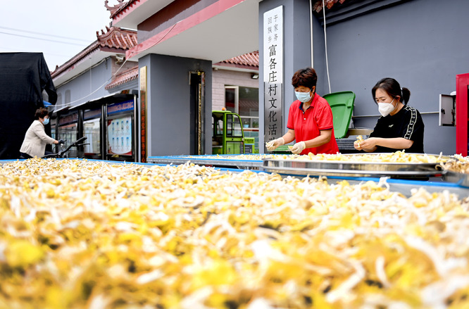 賦能鄉村振興 “科技小院”作用大