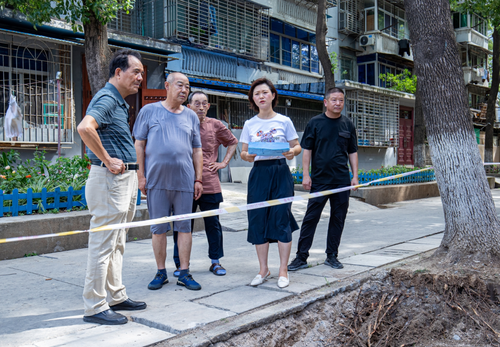 王小雨（右二）與政協委員、居民代表就小區管道安裝事宜現場協商。 （圖片由受訪者提供）