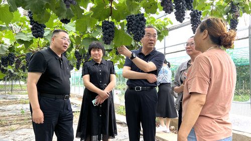 圍繞特色農產品產業發展調研視察