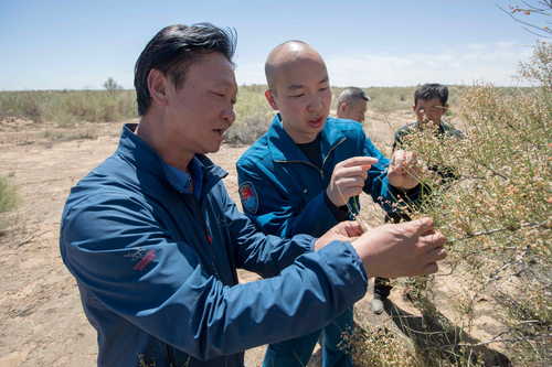 （416配稿）劉宏義：扎根戈壁，鑄就綠色(7011941)-20250421085901