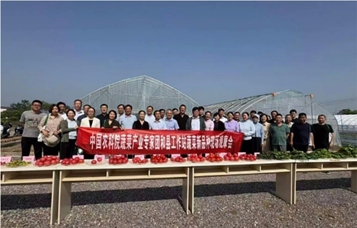 微信截圖_20250611090618