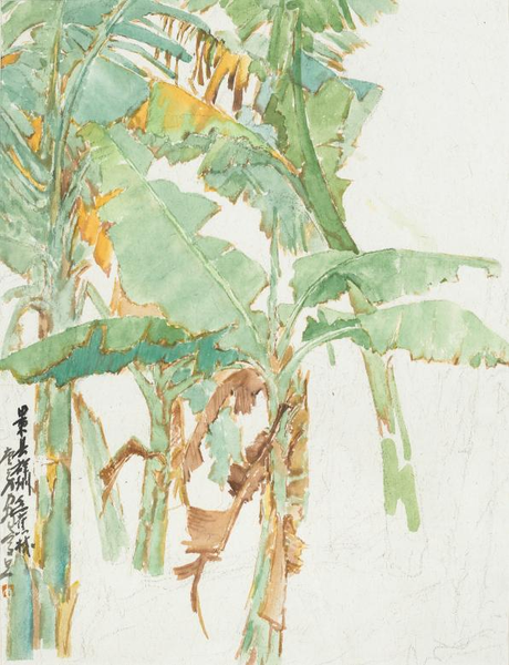 圖片47