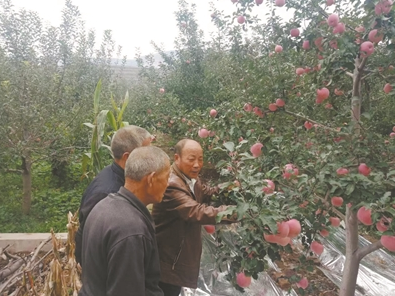 馮義忠